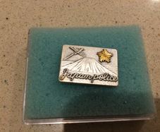 Japanese Police Pin