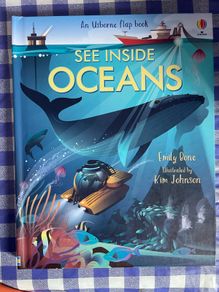 Usborne - Lift the flaps - See Inside Oceans - Brand new