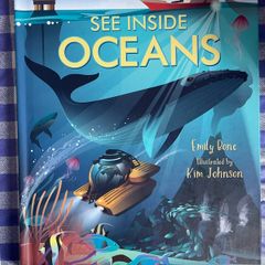 Usborne - Lift the flaps - See Inside Oceans - Brand new