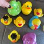 Ducks Image 2
