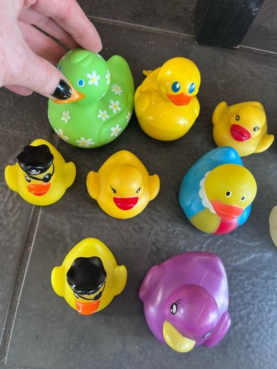 Ducks