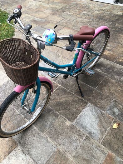 Elswick Childs bike