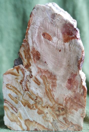Dolomite Slab Rolling Hills Dolomite