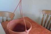 Hanging Basket for Sale