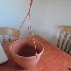 Hanging Basket for Sale