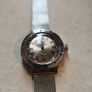 Vostok amphibia Image 2