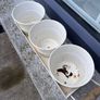 The White Company Herb Pot Trio and Tray Image 3