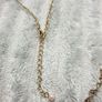 Costume Necklace Image 5