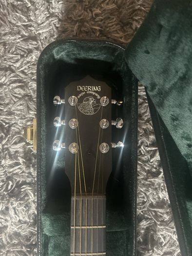 deering boston 6 string banjo