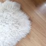 rug Image 2