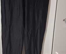 shiney leggings