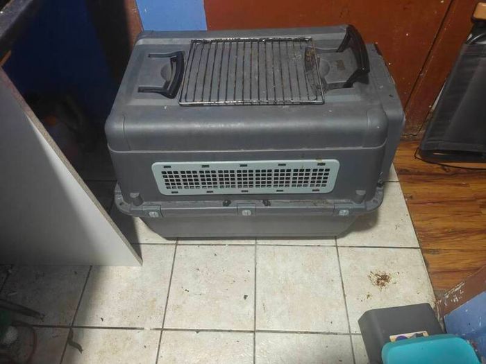 Large AniOne Hard-Shell Dog Crate / Travel Carrier (Size L)