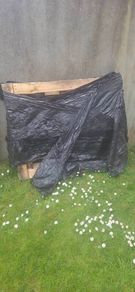 Wooden Pallet