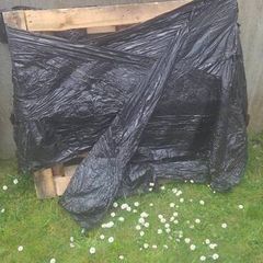 Wooden Pallet