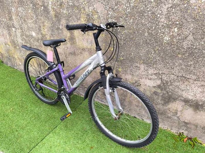 14" Giant Rock Excess Mountain