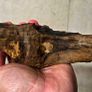 Aquarium Driftwood Size Mini Image 2