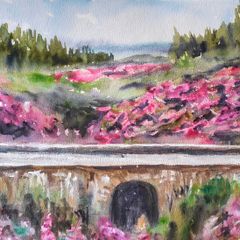 the vee tipperary watercolour