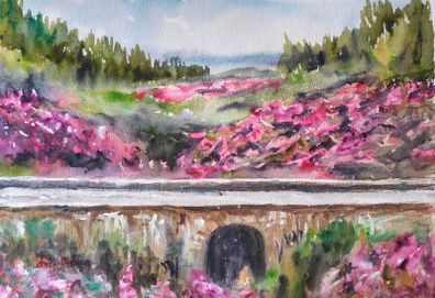 the vee tipperary watercolour