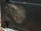 Pc Building / Help Service (Free Quote) Image 10