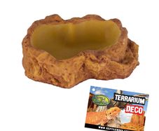 Reptile Nova Terrarium Ornament Bowl 38041-S