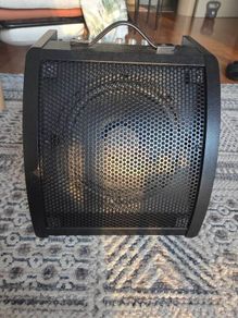 monitor speaker