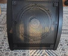 monitor speaker