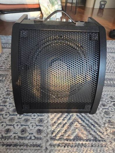 monitor speaker