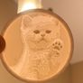 3d 0rinted pictures/signs Image 3