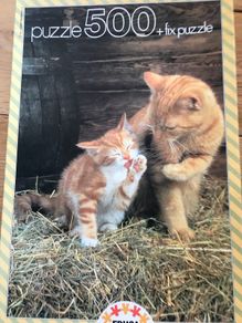Kitten Jigsaw 500 pieces