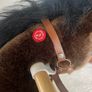 pony cycle Image 3
