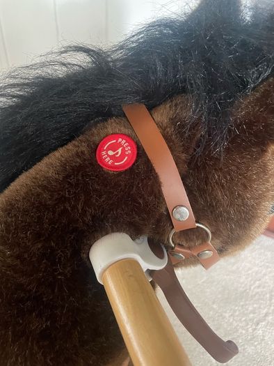 pony cycle