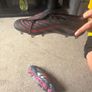 Predator Elite football boots Image 2