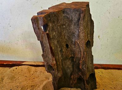 Bog Wood
