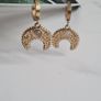 Brand new earrings Image 2