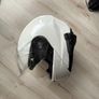 Motorcycle Essentials Image 6