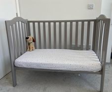 elegance cot