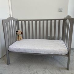 elegance cot