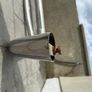 bull bar Image 7