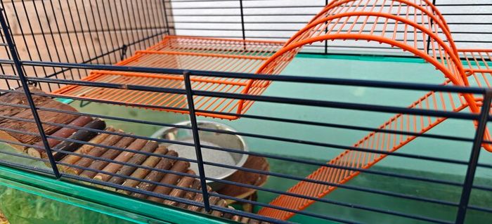 Gerbil/Hamster cage