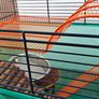 Gerbil/Hamster cage Image 4