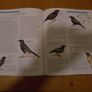 Encyclopedia Of Animals Image 3
