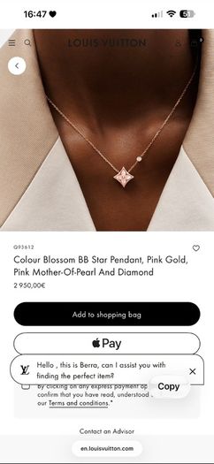 1:1 LV necklace