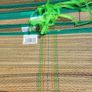 25 Beach Mats Image 2