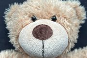 Chad Valley DesignaBear Traditional Teddy