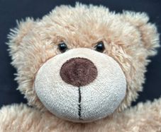 Chad Valley DesignaBear Traditional Teddy