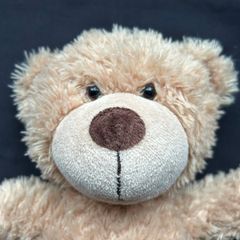 Chad Valley DesignaBear Traditional Teddy