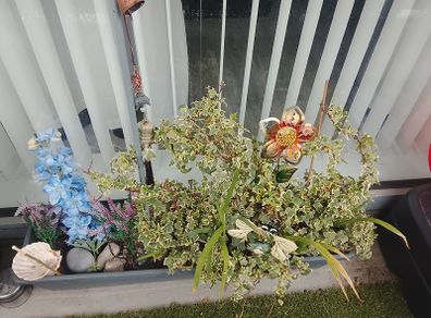 Free plant
