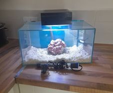 fish tanks