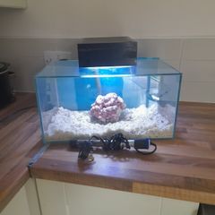 fish tanks