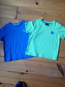 Age 2-3 NEXT Teeshirts